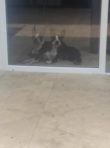 Lucky y Maruja